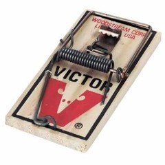 Victor Metal Pedal Mouse Traps ( 24 pack ) Victor Snap Trap Wooden Mice Traps