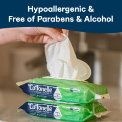 Gentle Plus Flushable Wet Wipes, 8 Flip-Top Packs