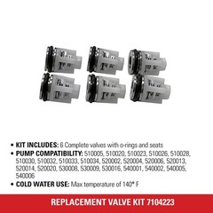 Simpson Cleaning 7104223 Replacement Valve Kit for Pressure Washer White
