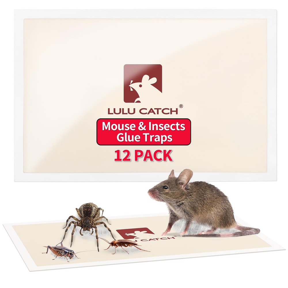LULUCATCH Mouse Traps, 12 Pack Pre-Baited Sticky Traps Indoor for White