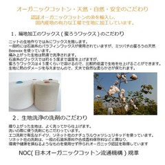 [Sweet Cotton] [5-Piece Set] Mini Nara Liner Cloth Sanitary Pad