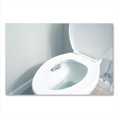 Big D Industries 661 Non-Para Toilet Bowl Block – Evergreen, White (12/Box) New
