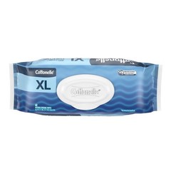 Flushable Wipes 60 Count Hypoallergenic XL Wet Wipes Shower Fresh Clean New