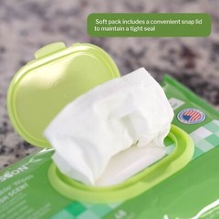 McKesson Flushable* Personal Wipe 6-9/10 X 7 Inch FLF96 6 Pack 576 Wipes