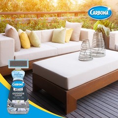 Carbona Pro Care Oxy Powered Outdoor Cleaner 22 Fl Oz (Pack of 2), No Color