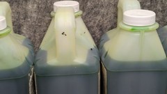 4 x RMC Enviro Care Low Foam Neitral All Purpose Cleaner 1/2 Gallon U.S. Snap 10