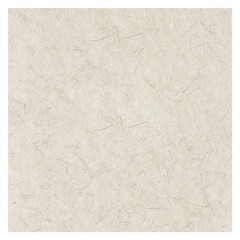 Boardwalk 4021NAT 21″ Diameter Natural Burnishing Floor Pads – White (5/CT) New