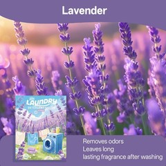 Laundry Detergent Sheets, Lavender Scent – 40 Loads 1 Count (Pack of 40)