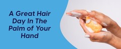 HiBAR – Moisturize Fragrance-Shpoo Bar – For Dry, Frizzy Hair –