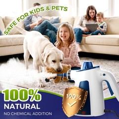 Handheld Steam Cleaner, 230°F Pressurized Steamer L, Ice White & Sky Blue