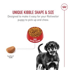 Royal Canin Breed Health Nutrition Rottweiler Puppy Dry Dog Food 30 Lb Bag