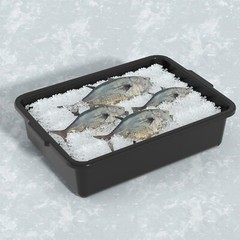 12Pack Commercial Bus Box/Utility Tub – Plastic Storage Bin Dish Basin, 13 Liter