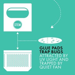 STEM Flying Insect Fan Trap Glue Reﬁll Pads, 10 Count 10 Count, Clear