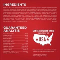 Purina One Small Bites Beef And Rice Formula Small High Protein Dry Dog Food