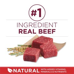 Purina One Small Bites Beef And Rice Formula Small High Protein Dry Dog Food