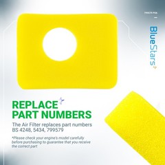 BlueStars 6 Pcs 799579 Air Cleaner Foam Filter – 799579 PO6, Yellow