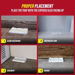 Catchmaster-6 Freeze Resistant Mouse & Insect Glue 6-Pack Cold Weather, White