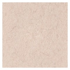 Boardwalk 17″ Hog Hair Burnishing Pads – Natural (5-Piece/Carton)