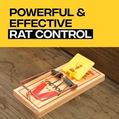 Victor M205 Wide Pedal Humane Snap Rat Traps Indoor for Home, 12 Traps, Wood