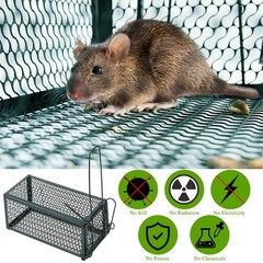 Qualirey 4 Pcs Humane Rat Trap Chipmunk Rodent 9.1 x 4.5 x Inches, Green