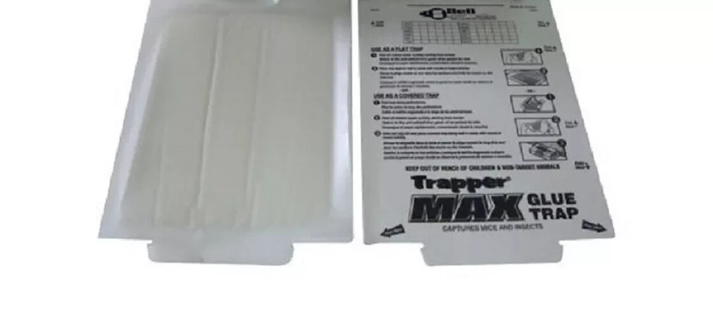 144 Trapper Max Glue Board Traps Control Mouse Mice Insect Spider Lizards etc