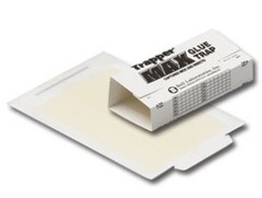 24 Trapper Max Mouse Mice Small Rodent Insect Spider Control Glue Board Traps