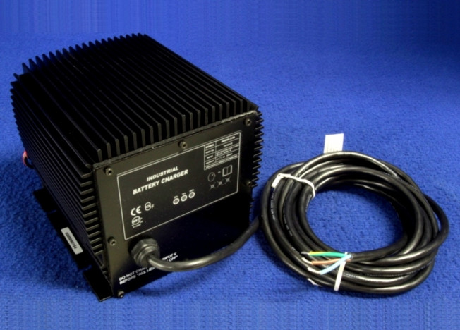 Taylor-Dunn 79-302-20 – Charger
