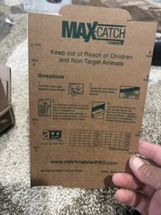 MaxCatch 72MB Indoor Mouse & Insect Glue Trap Boards, 36 Count