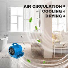 1/5Hp Air Mover 800Cfm Blower Fan Carpet Floor Drying Fan – 3-Speed Compact Air