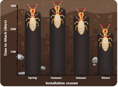 6 pack Advance Trelona Termite Control Bait Cartridges TBC