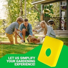 BlueStars 6 Pcs 799579 Air Cleaner Foam Filter – 799579 PO6, Yellow