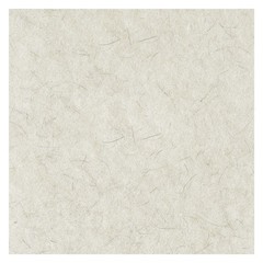Boardwalk 4027NAT 27″ Dia Natural Burnishing Floor Pads – White (5/CT) New
