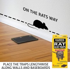 Harris Rat Glue Traps 2 Pack Large Sticky Boards for Rats Mice Roaches Spiders