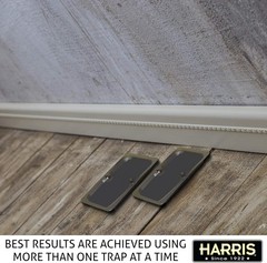 Harris Rat Glue Traps 2 Pack Large Sticky Boards for Rats Mice Roaches Spiders