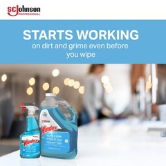 SC Johnson Professional Windex Glass and More 1 Count (Pack of 4), Blue