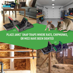 409 Jawz Indoor Plastic Mouse Trap for Solid or Liquid Bait Instant Kill Mouse