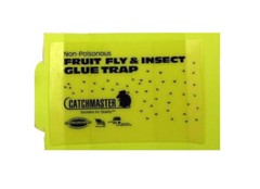Catchmaster Fruit Fly Trap 100FF Glueboards ( 100 traps) Fruit Flies Drain Flies