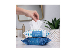 Member’s Mark Flushable Wipes, Fresh Scent, 540 Count