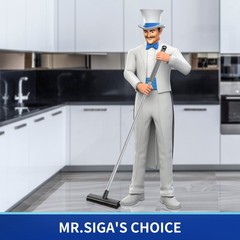 MR.SIGA Floor Scrub Brush with Long Handle, 2 in 1 8.7 x 48.4 inch, Gray