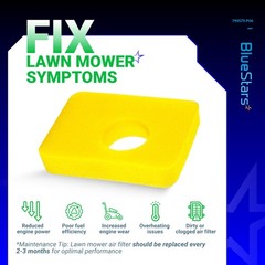 BlueStars 6 Pcs 799579 Air Cleaner Foam Filter – 799579 PO6, Yellow