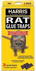 Harris Rat Glue Traps 2 Pack Large Sticky Boards for Rats Mice Roaches Spiders