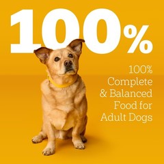 Pedigree Choice Cuts in Gravy Adult Wet Dog Food 16-Count Beef, Bacon, & Cheese