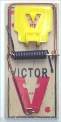 Victor Wooden Mouse Snap Trap ( 24 pack ) Victor MouseTraps M325 Mice Traps
