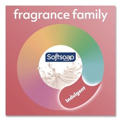 Softsoap US04965ACT Liquid Hand Soap Pumps – Milk and Honey Scent (6/Carton) New