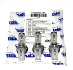 Cat Pumps 76260 Valve Kit 67DX39G1I OEM