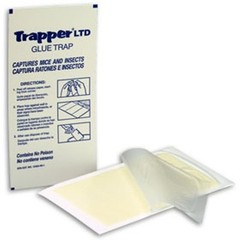 12 Cockroaches Spiders BedBug Scorpion Silverfish Insect Traps Sticky Bug Traps