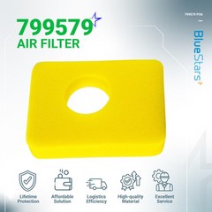 BlueStars 6 Pcs 799579 Air Cleaner Foam Filter – 799579 PO6, Yellow