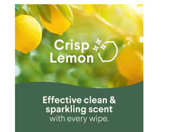 3 Pack – Disinfecting Wipes, Bleach Free Cleaning, Multi-Surface Wipes
