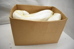 Oil-Only Absorbent Booms Spill Containment White Polypropylene 2-Pack 10 Ft