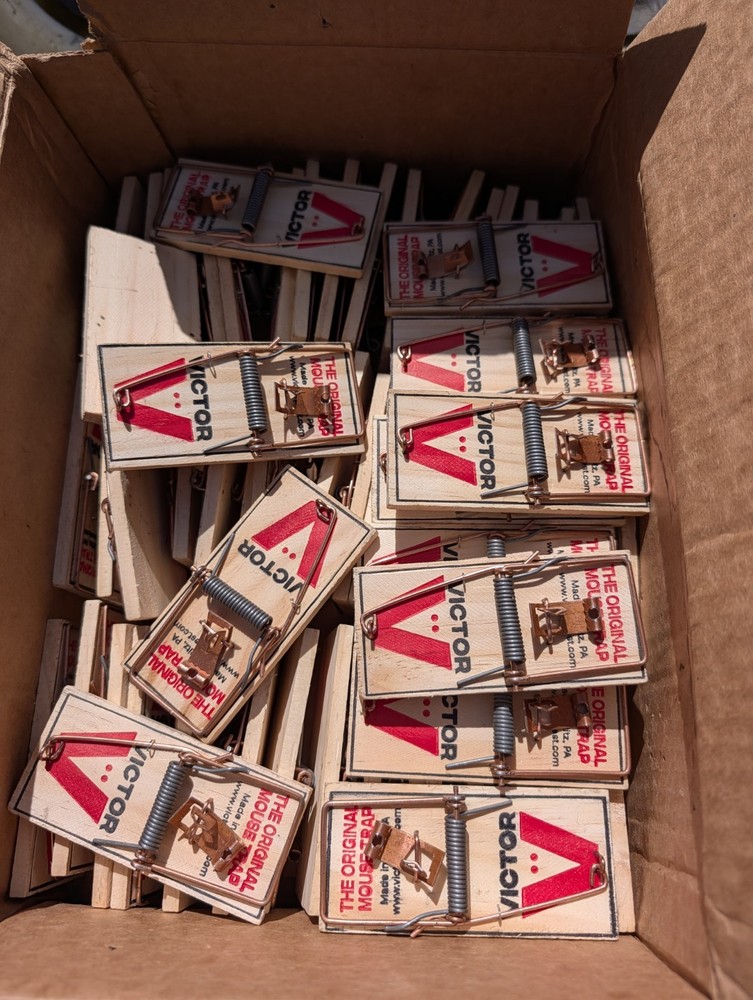 Victor M040 Metal Pedal Mouse Traps 55 Pack Victor Snap Trap Wood Mice Traps